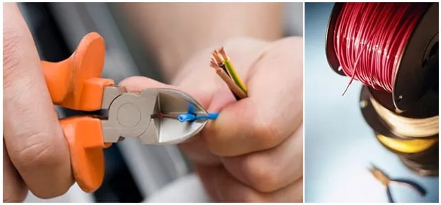 Slide of William Electric