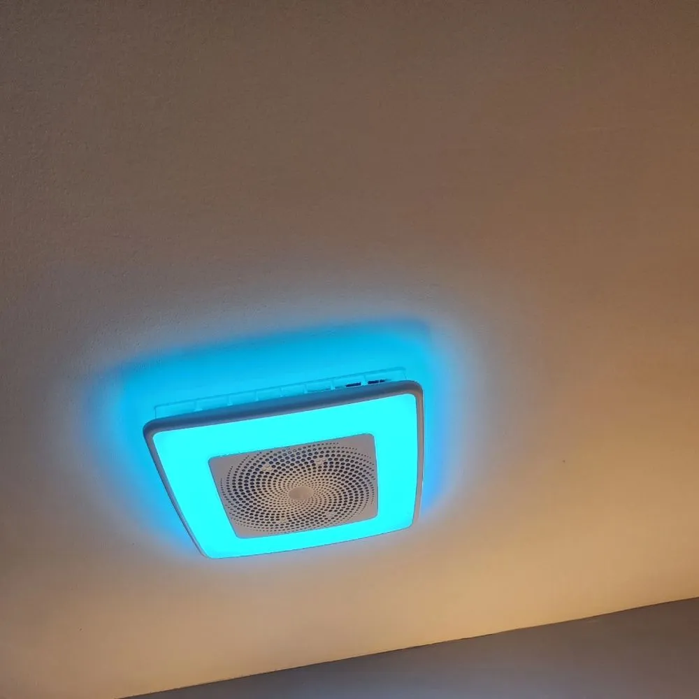 Slide of William Service Electric And More