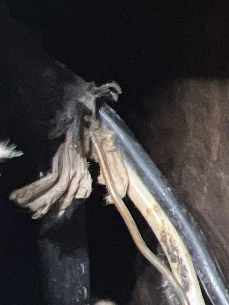 Emergency panel upgrade experts serving ,  - Williams Electric