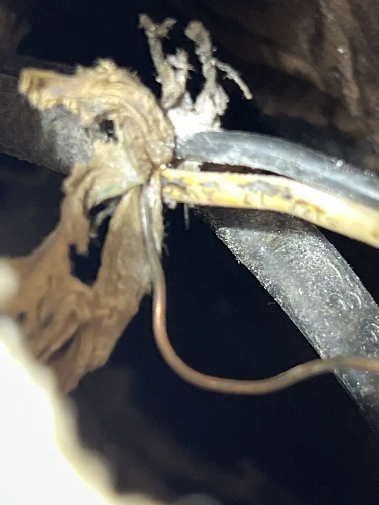 Affordable lighting installation experts serving ,  - Williams Electric