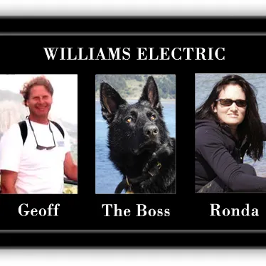 Emergency electrical service for homes in outlet and switch repair,  by 