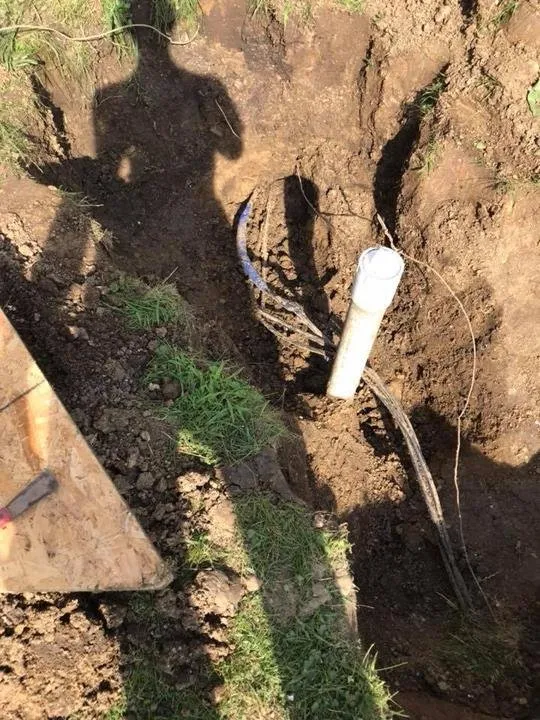 Slide of Williamson Electric