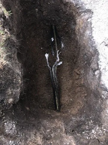 Slide of Williamson Electric