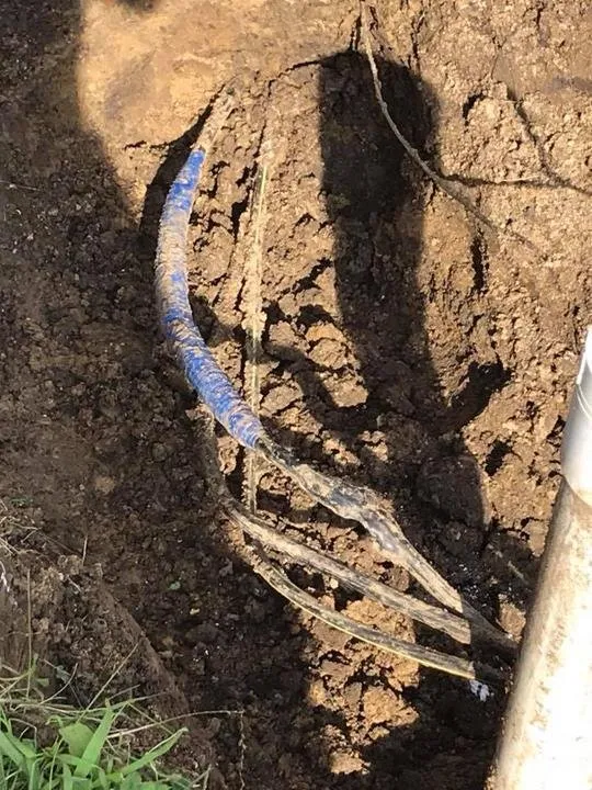 Slide of Williamson Electric