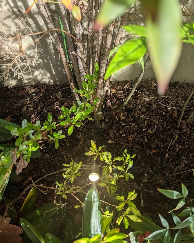 Slide of Wilmette Electrical Service