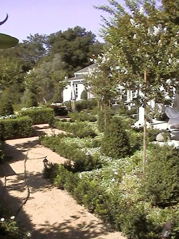 Slide of Wilson Electric