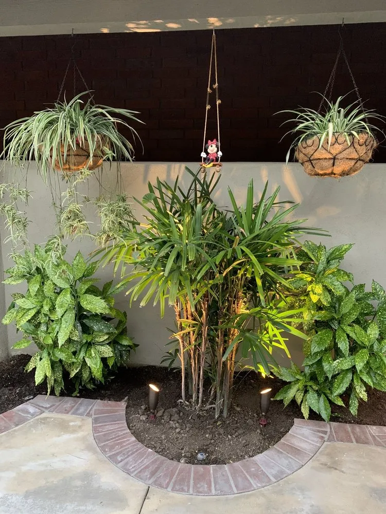 Slide of Wilson Electric