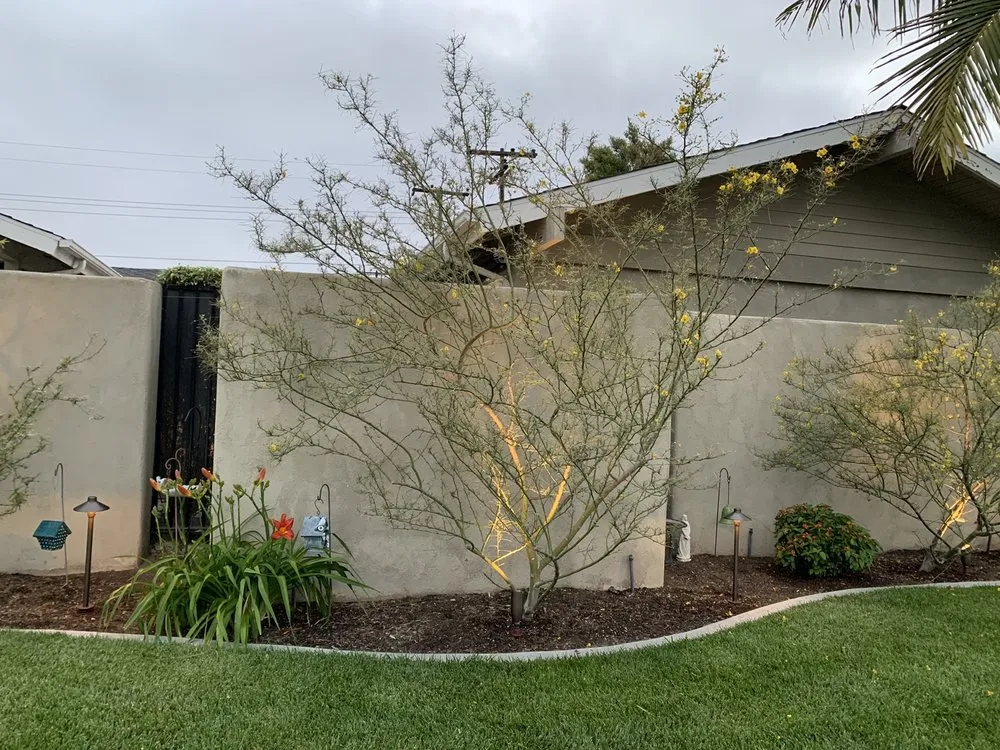 Slide of Wilson Electric