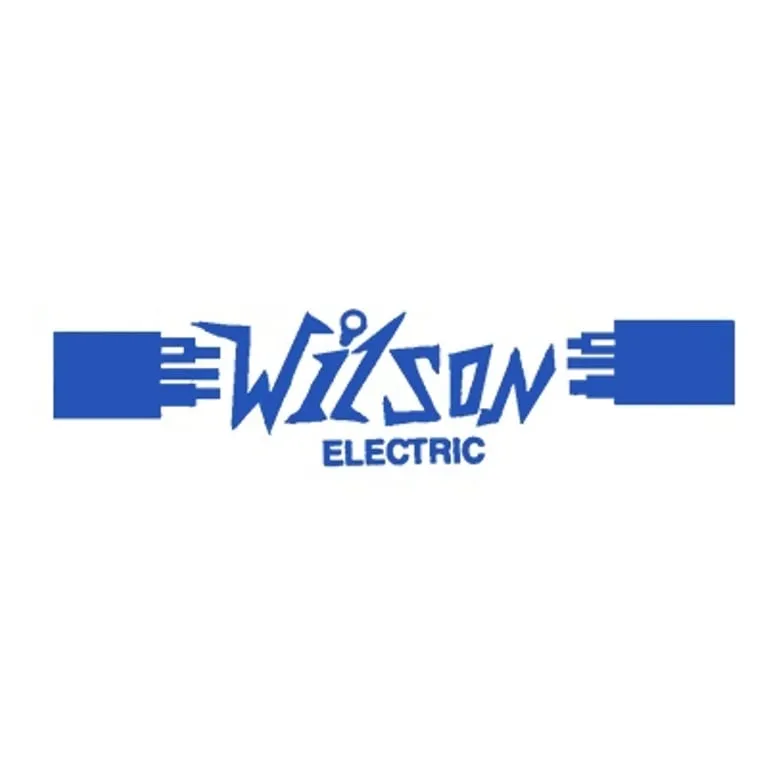 Licensed electrician providing electrical repair in Stanton, MI - Wilson Electric