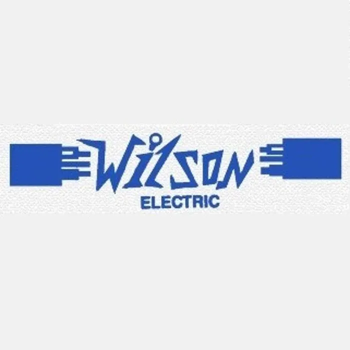 Reliable electrician providing lighting installation in Stanton, MI - Wilson Electric