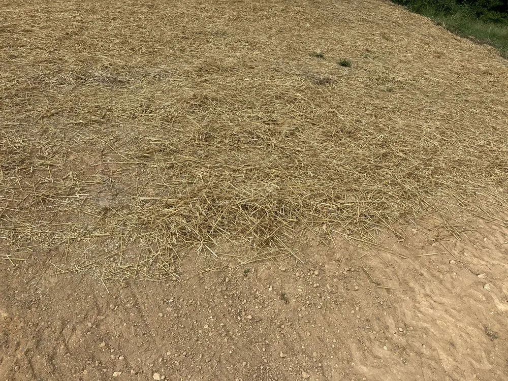 Emergency electrician providing emergency electrical service in ,