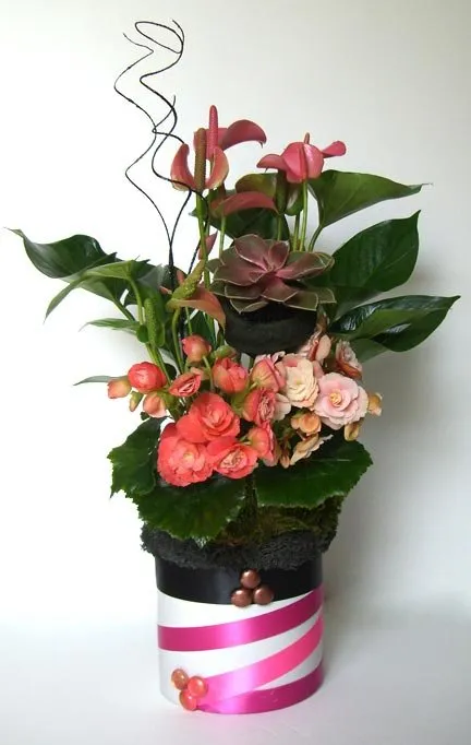 Slide of Wilson's Services Diversified