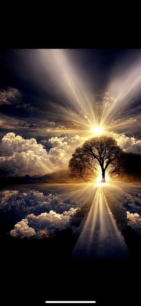 Slide of Wilson's Services Diversified