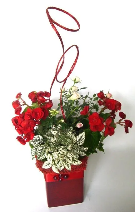 Licensed circuit breaker repair in ,  by Wilson's Services Diversified