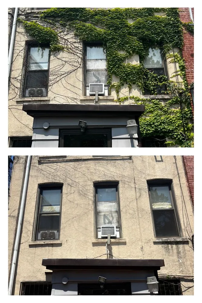 Slide of Windsor Handy