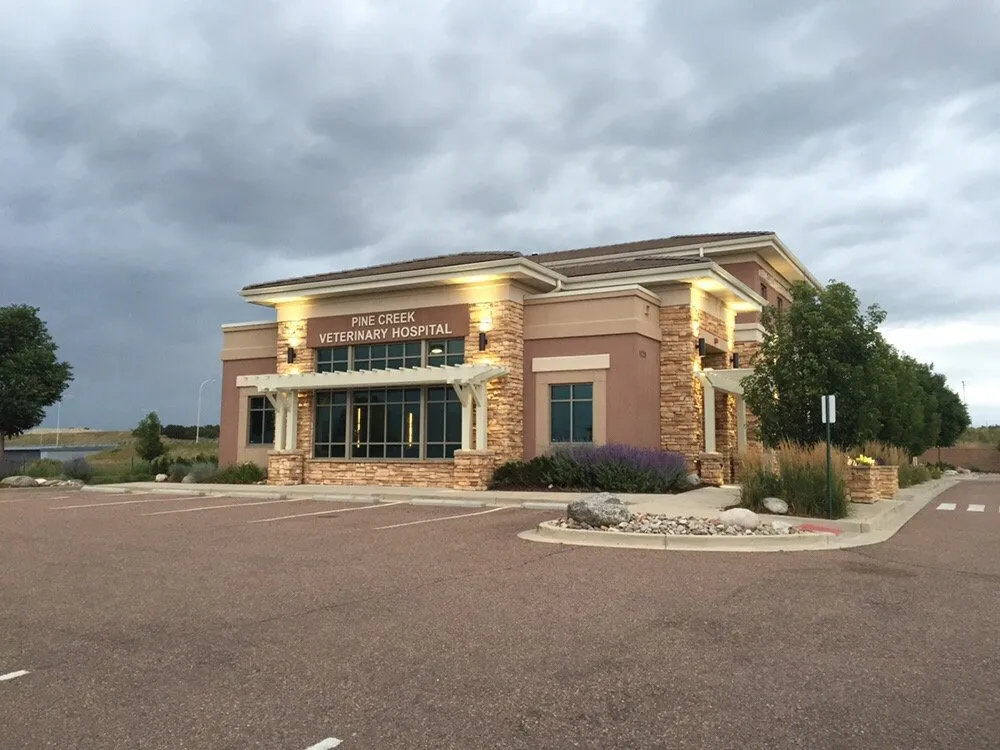 Trusted lighting installation service in ,  - Wire Works and Woods Contracting