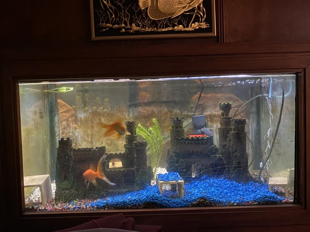 Slide of Wired Connecting The District