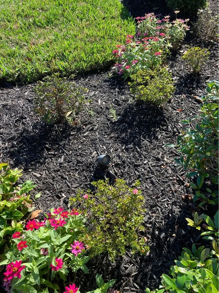 Professional electrician providing circuit breaker repair in ,