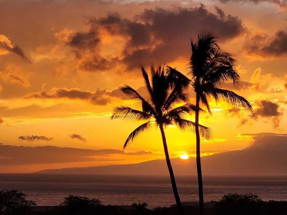 Slide of Wired On Maui