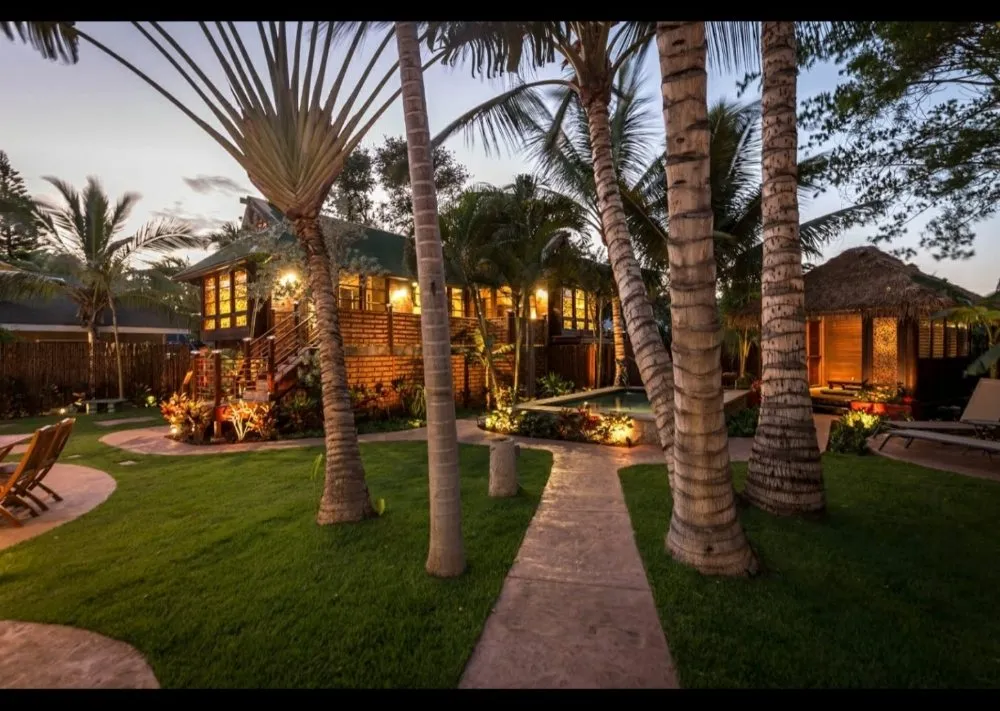 Slide of Wired On Maui