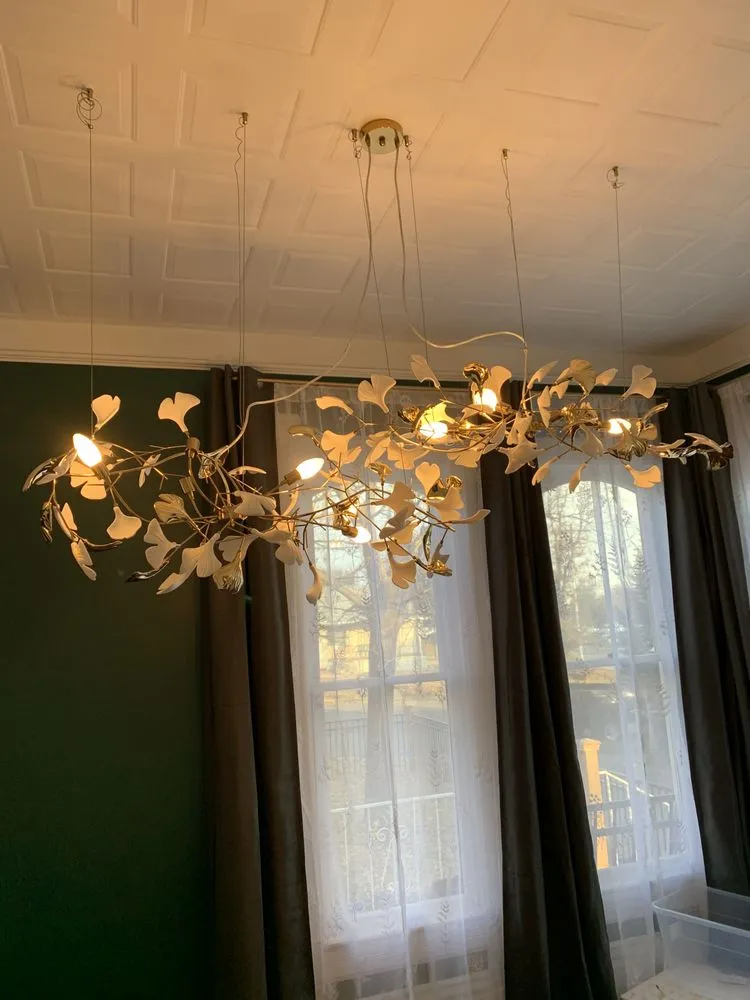 Slide of Wirezall Electric