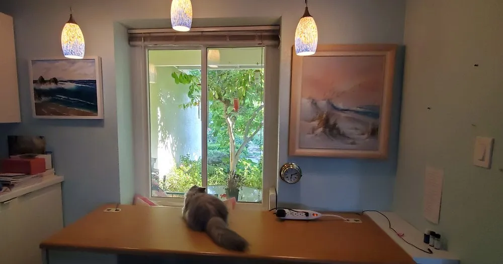 Affordable electrician providing circuit breaker repair in ,