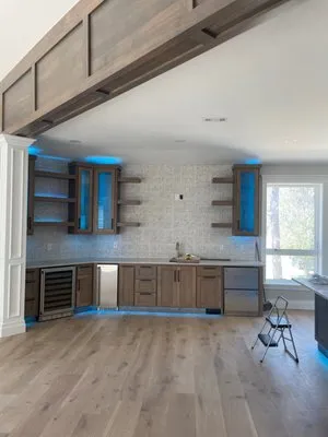 Wise Guys Electrical Logo