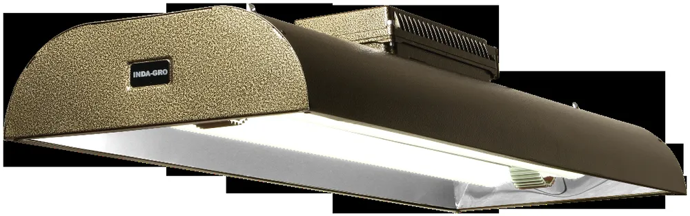 Slide of Wise Induction