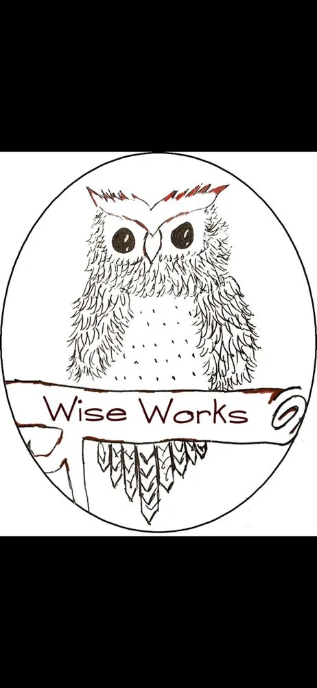 Licensed electrician providing outlet and switch repair in Genesee, PA - Wise Works