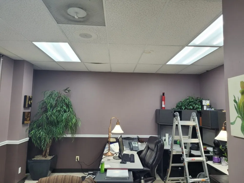 Trusted electrician providing outlet and switch repair in , 