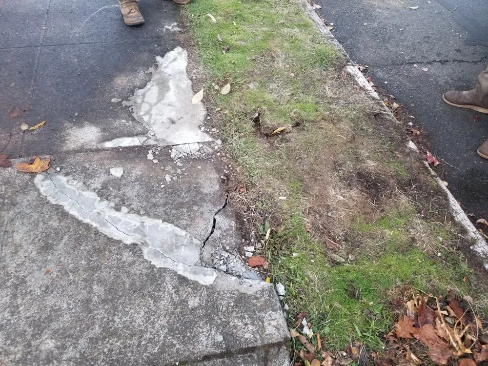 Slide of Wolcott Services