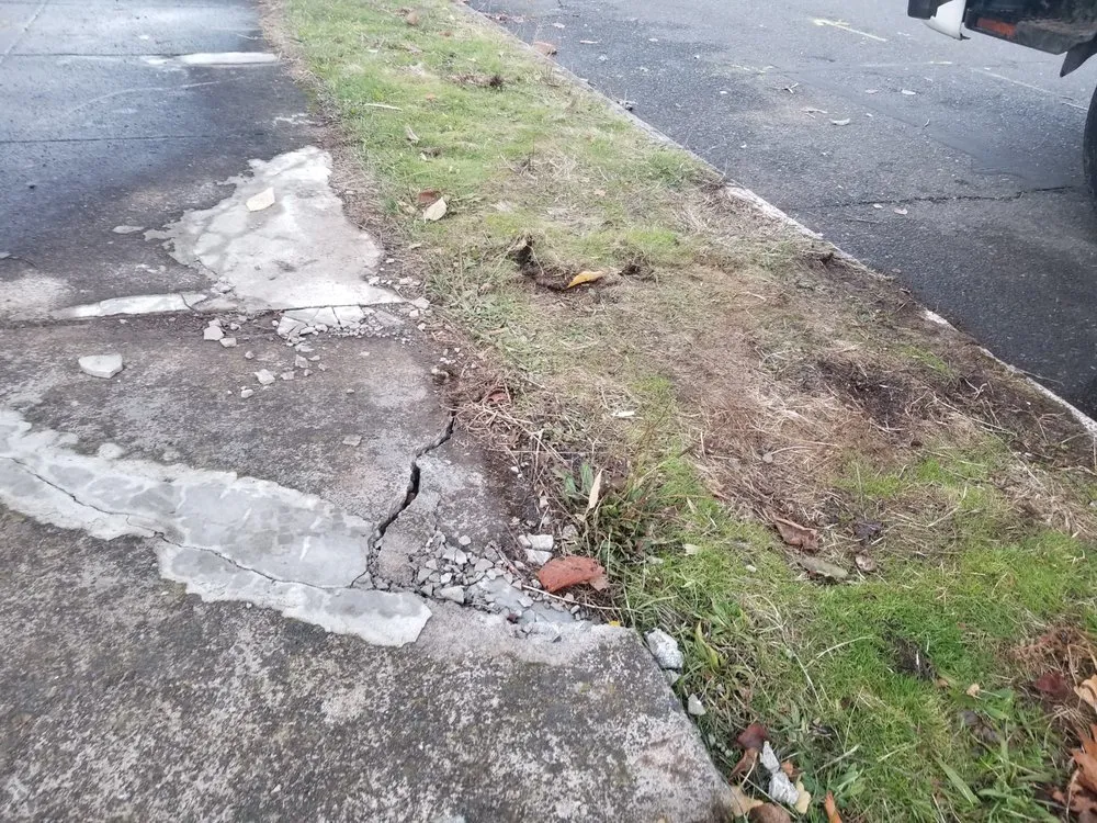 Slide of Wolcott Services