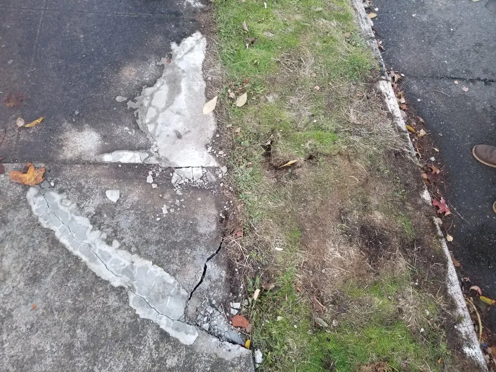 Slide of Wolcott Services