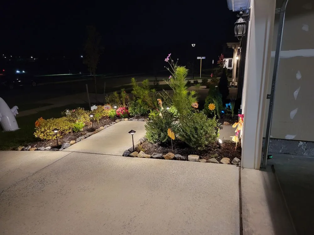 Slide of Wolfies Services