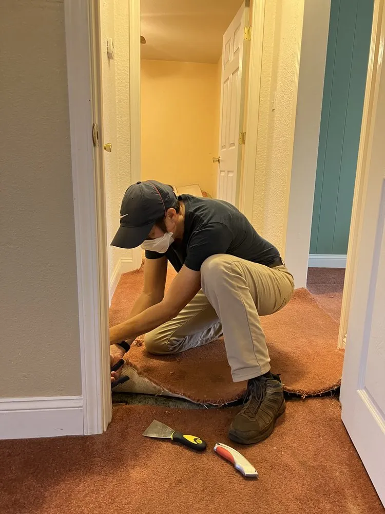 Slide of Wood Bee- Your Handyman Solution