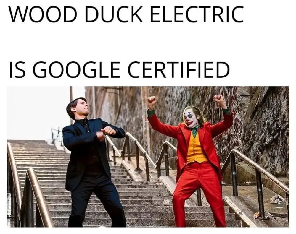 Slide of Wood Duck Electric