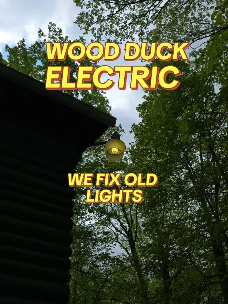 Slide of Wood Duck Electric