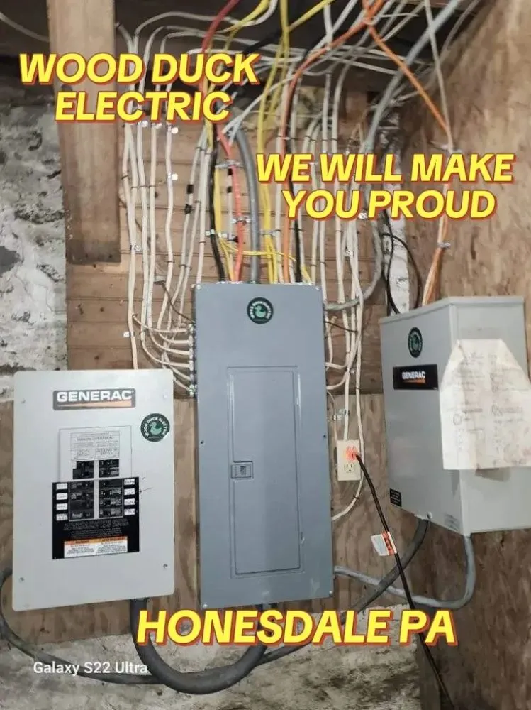 Slide of Wood Duck Electric