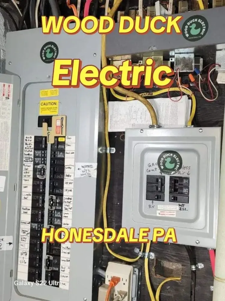 Slide of Wood Duck Electric