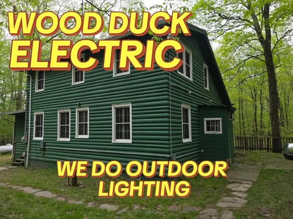 Slide of Wood Duck Electric