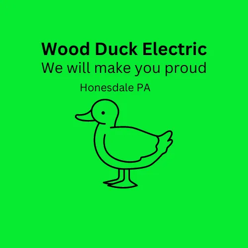 Slide of Wood Duck Electric
