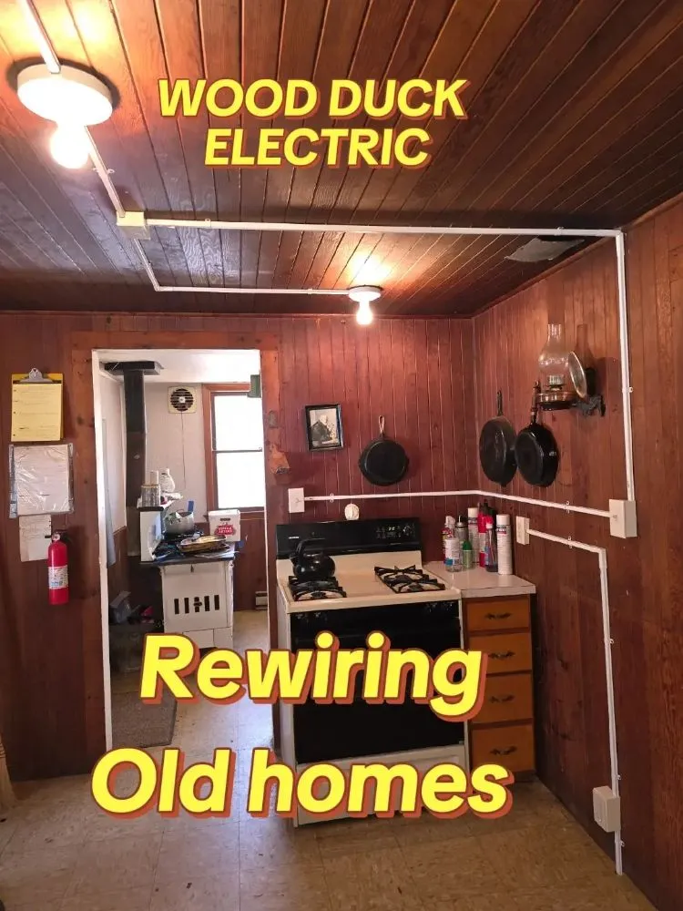 Slide of Wood Duck Electric