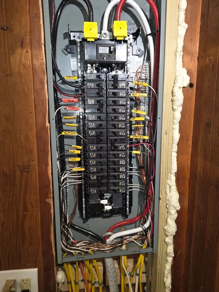 Slide of Wood Duck Electric