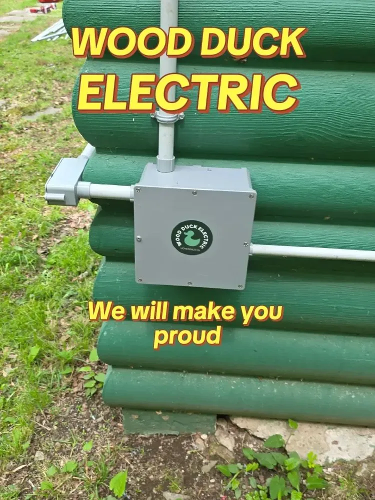 Slide of Wood Duck Electric