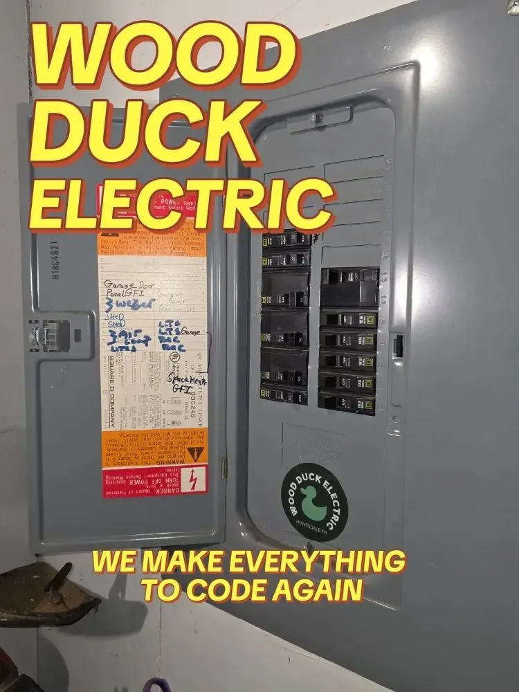 Slide of Wood Duck Electric