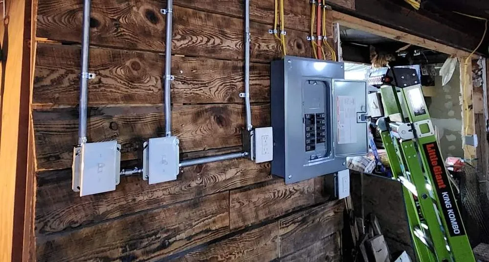 Slide of Wood Duck Electric