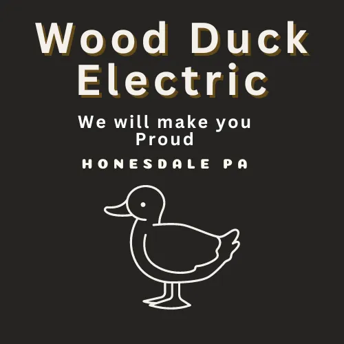 Slide of Wood Duck Electric