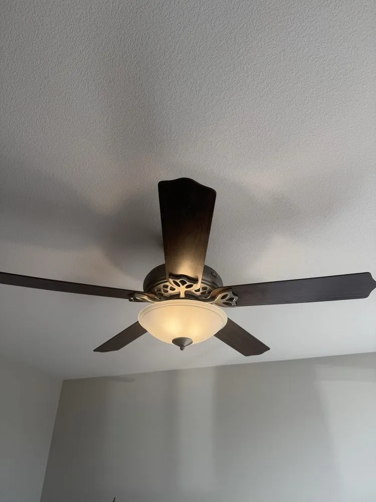 Slide of Wood Electric