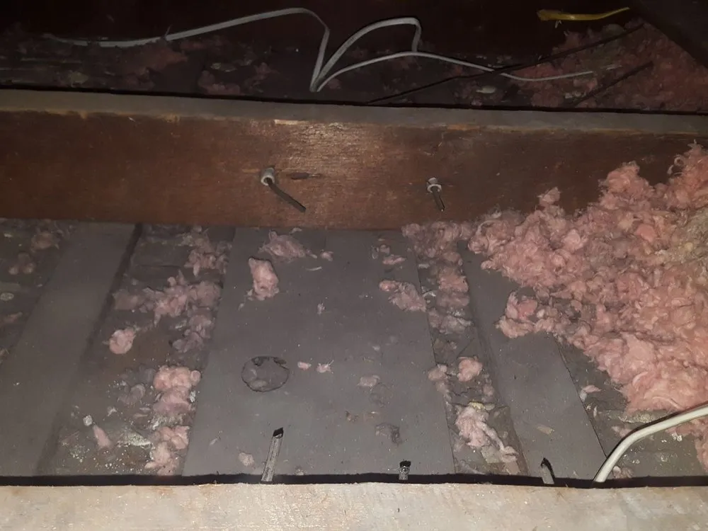 Professional panel upgrade service in ,  - Worcester Electrician