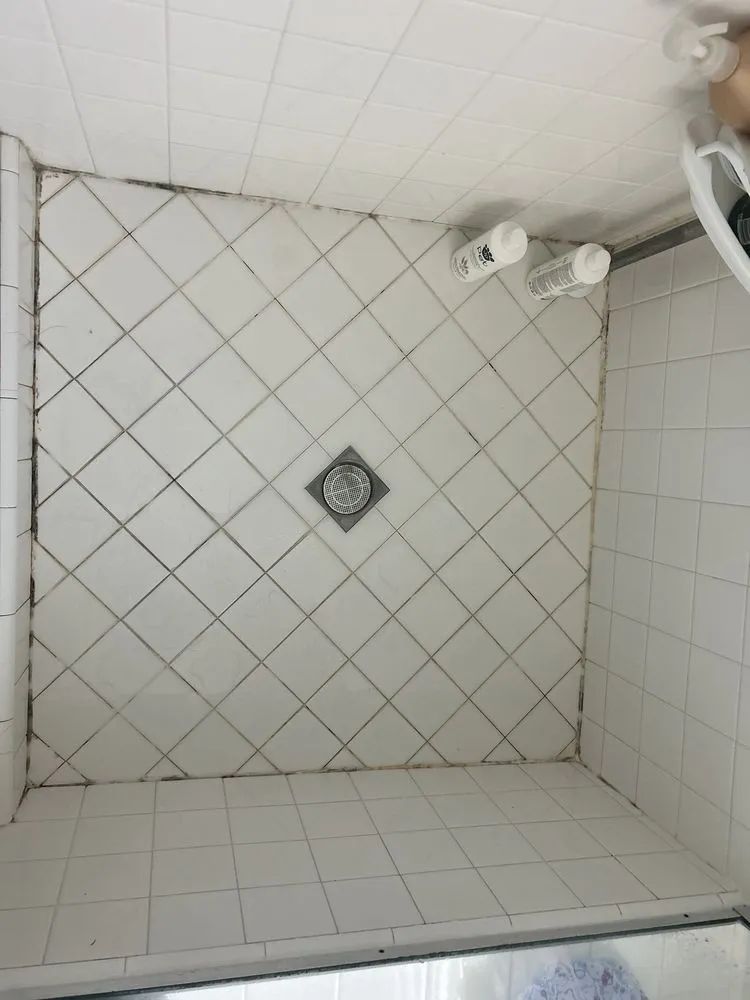 Slide of Working Hands Construction